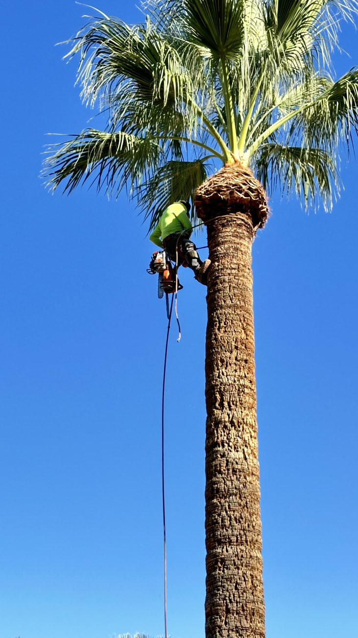 Banner - ATS - Landscape & Maintenance Management